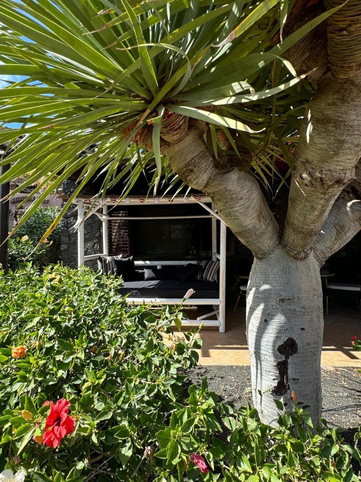 Castillo Lanzarote Villa Bailey - Luxury Villa - Pet Friendly With Heated Pool La Asomada  Exterior foto